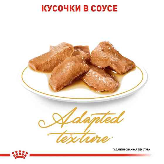 Royal Canin Maine Coon (Роял Канін Мейн Кун Едалт) вологий корм для кішок мейн-кун 85 г х 12 шт. Запоріжжя