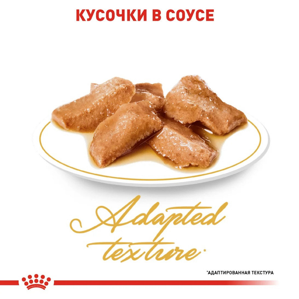 Royal Canin Maine Coon (Роял Канін Мейн Кун Едалт) вологий корм для кішок мейн-кун 85 г х 12 шт. Запоріжжя - фото 4