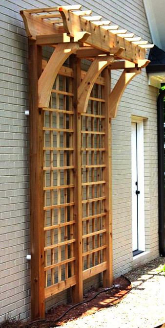 Пергола-шпалера "Багдад" мускат Миколаїв - фото 1