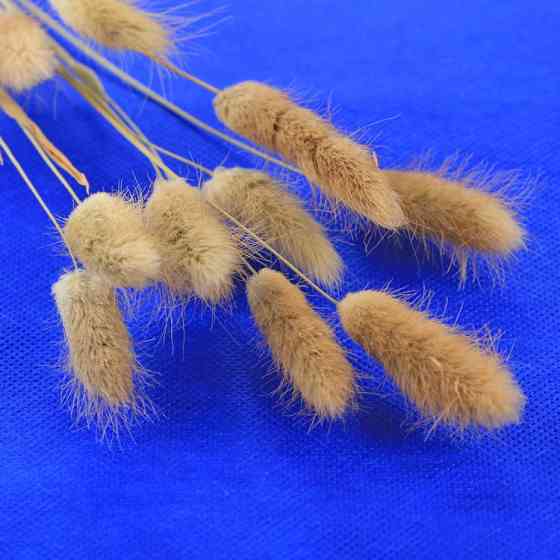 Фото фон 6шт Puluz PKT5203 Київ