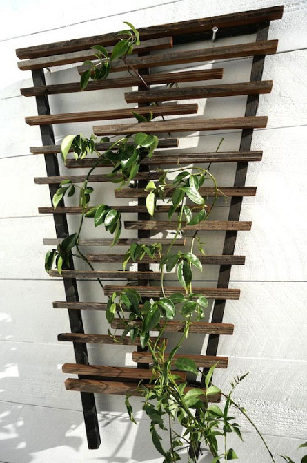 Опора для плетущихся 