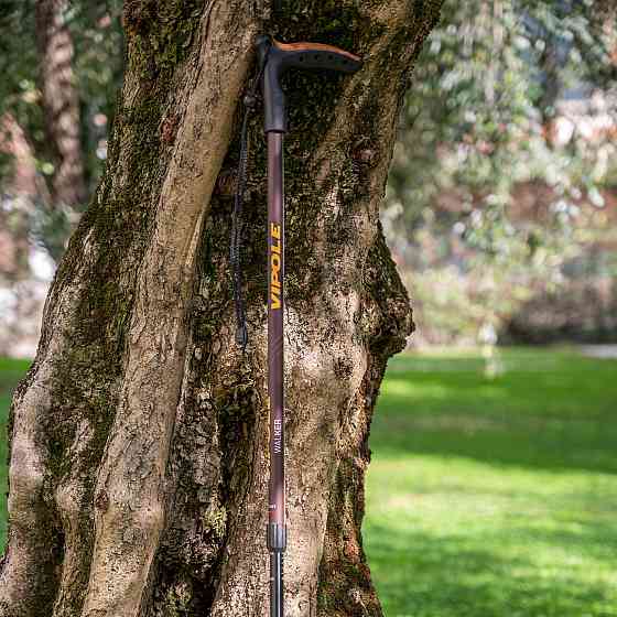 Палка трекинговая Vipole Walker (S25 22) Вінниця