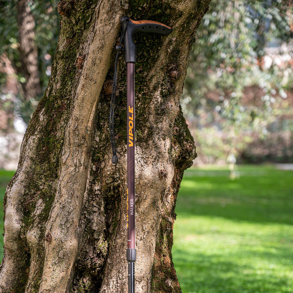 Палка трекинговая Vipole Walker (S25 22) Вінниця - фото 5