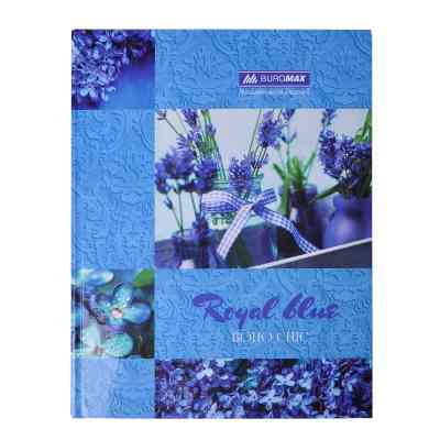 Канцелярська книга Buromax А4 BOHO CHIC, 96 аркушів, клітинка, синя (BM.2400-202) Вінниця