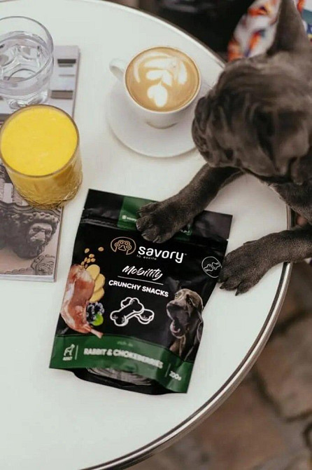 Хрустящие лакомства для собак Сейвори Savory Mobility Crunchy Snacks для здоровья суставов с кроликом и ароние Винница - изображение 4