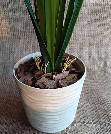 Штучна латексна орхідея цимбідіум у пластиковому кашпо рожева Дніпро