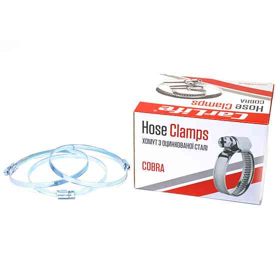 Хомути CarLife оцинковані 100-120/W1, 9х0,67мм, 25шт Киев