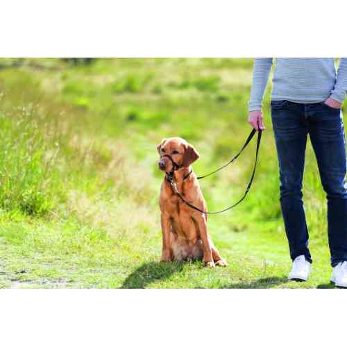 Шлея для собак Trixie тренувальна L-XL чорна Киев