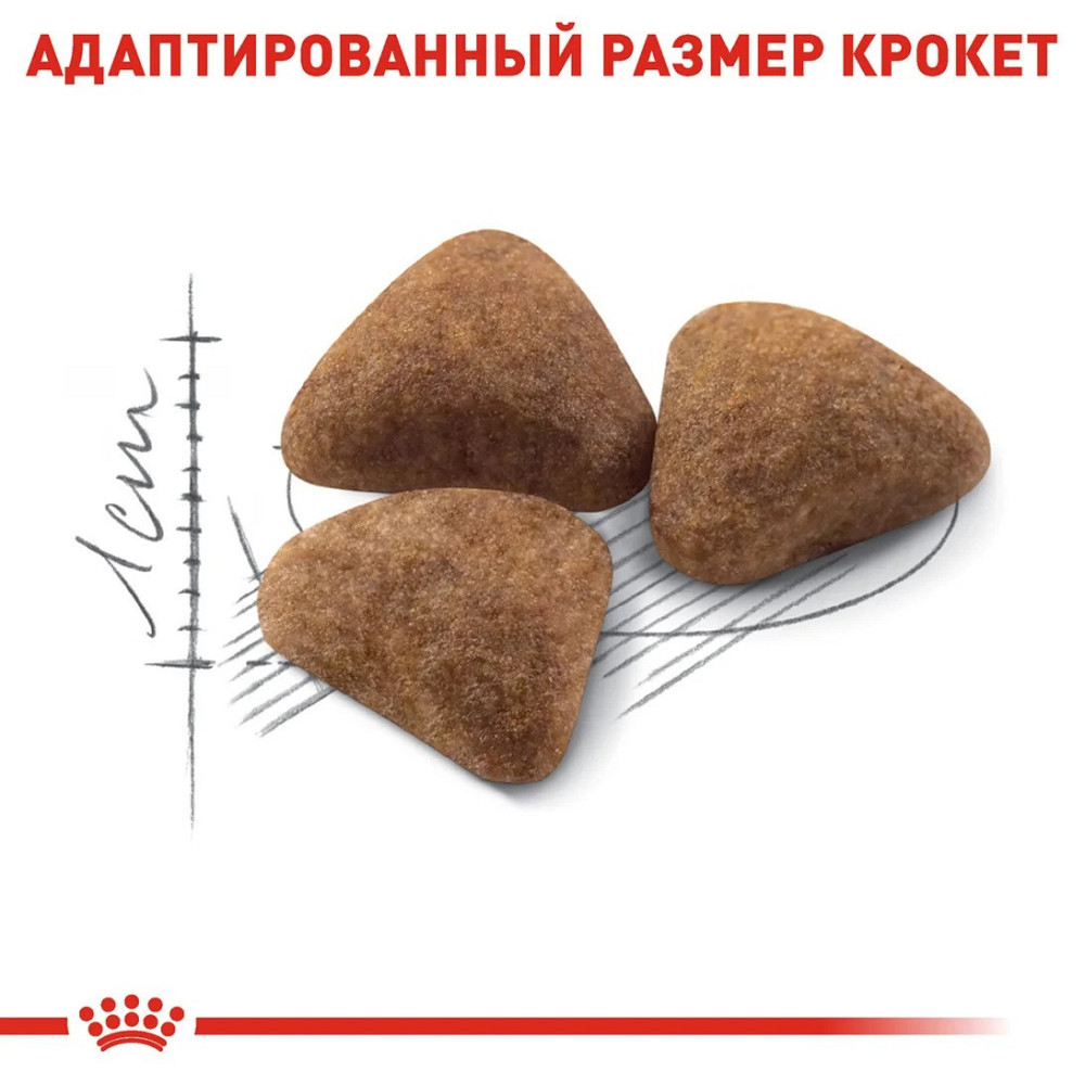 Роуал Canin Indoor 27 (Рояв Канін Індор 27) сухий корм для дорослих котів віком від 12 місяців до 7 років 10 кілограмів. Запоріжжя - фото 5