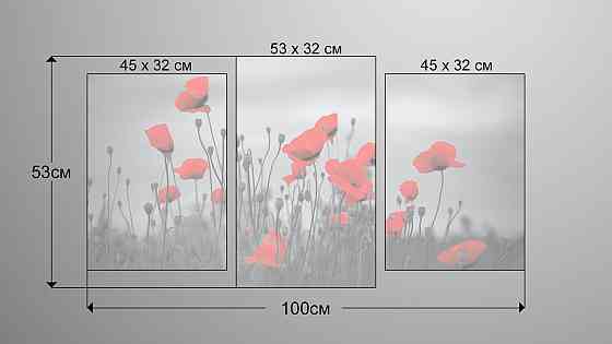 Модульна картина Маки Art-215_3 Київ