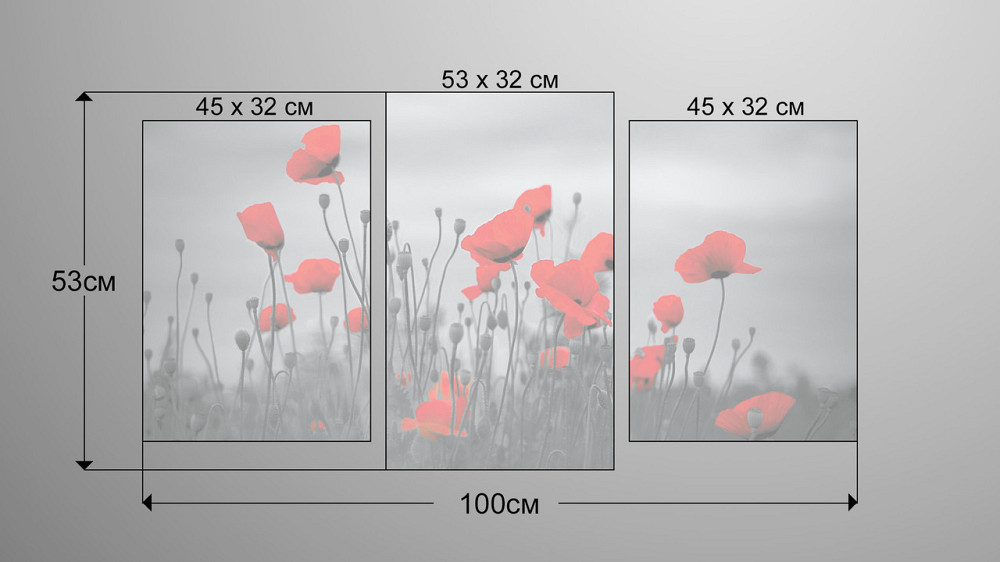 Модульна картина Маки Art-215_3 Київ - фото 3