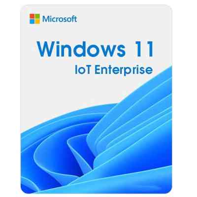 Операционная система Microsoft Windows 11 IoT Enterprise LTSC 2024 Perpetual, Commercial, OneTime (DG7GMGF0PP49_0001) Винница