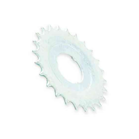 Велозвезда белая обычная 24 Мукачево