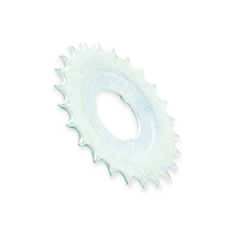 Велозірка біла звичайна 24 Мукачево - фото 1