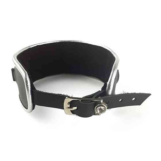 Ошейник из натуральной кожи со стразами и кольцом Art of Sex - Collar Ring Sex Aura Київ