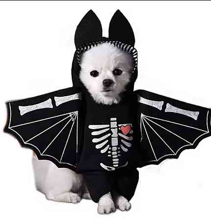 Косплей для собак і котів Кажан S на Хелловін чорний Київ