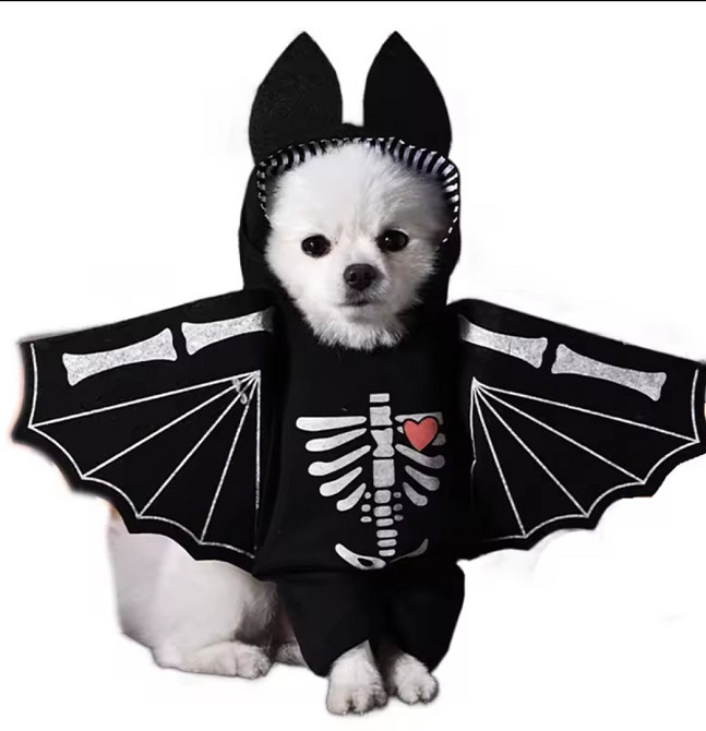 Косплей для собак і котів Кажан S на Хелловін чорний Київ - фото 5