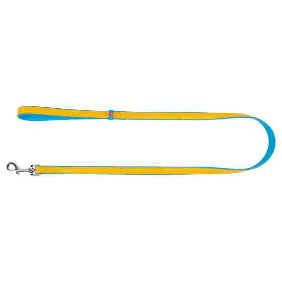 Поводок для собак кожаный WAUDOG Glamour, 