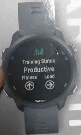 Смарт -Часы: Garmin Forerunner 245. Київ