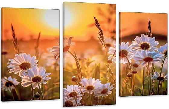 Модульна картина у вітальню/ спальню Поле Ромашок Art-561_3 Київ