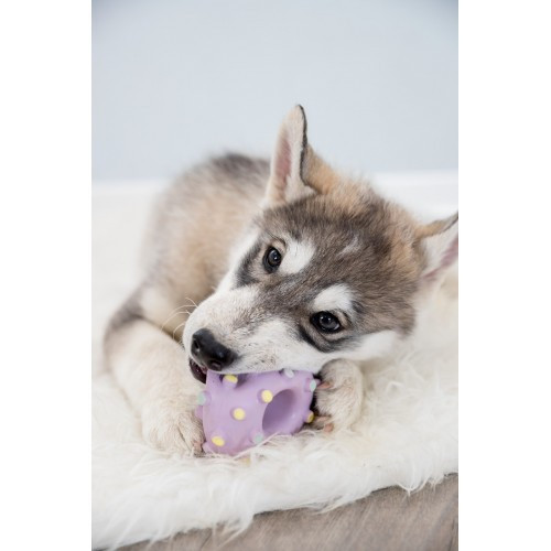 Игрушка Trixie Кольцо игольчатое для собак, d:8 см (латекс) Винница - изображение 7