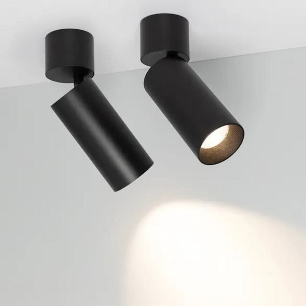 SIRIUS Спот з повортним плафоном Sirius PRD 4732 Коломия - фото 16