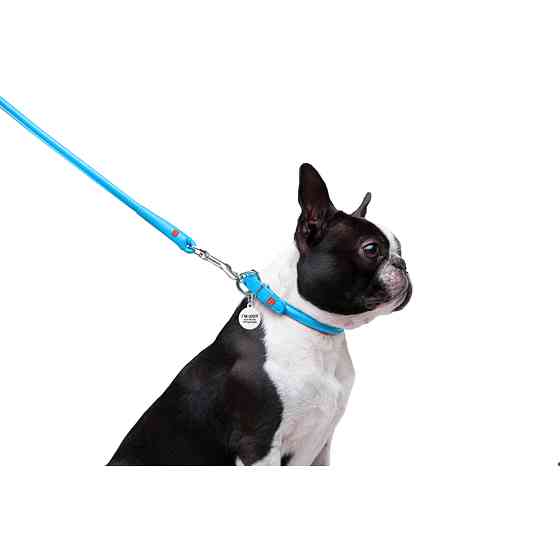 Повідець для собак шкіряний WAUDOG Glamour круглий, Д 8 мм, Дов 122 см блакитний Коломия