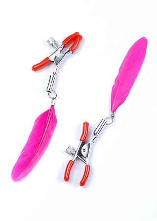 Пестіси StymulatorExclusive Nipple Clamps No.13 Fetish Boss Series Sex Aura Київ