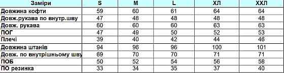 Женский велюровий костюм на змейке с капюшоном Серый M Харьков