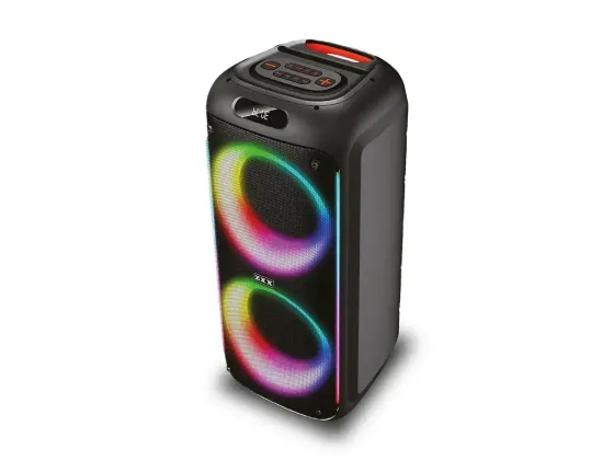Акустична переносна колонка ZXX-5504 1000Вт 2x6,5" 240х235х545мм TWS/FM/USB/TF/BT/LED/REC/MIC Київ