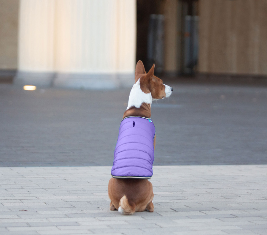 Куртка-накидка для собак AiryVest, XL, B 68-80 см, С 42-52 см фіолетовий Коломия - фото 3