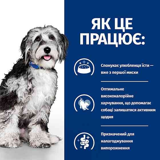 Hills Prescription Diet Canine ON-Care (Хілс ПД Канін Він Кеа) корм для собак із важкими захворюваннями 10 кг Запоріжжя