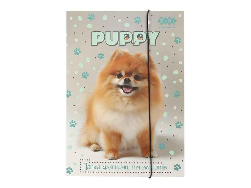Папка для праці A4 DOG на гумці ТМ Zibi Київ - фото 1