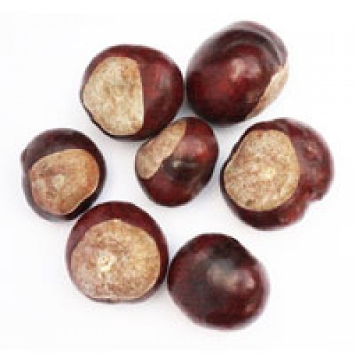 Конский каштан (плоды) из Карпат, 1кг MasterSEM Киев - изображение 1