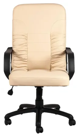 Офісне Крісло Керівника Richman Texas Fly 2207 Пластік М2 AnyFix Бежевий Київ