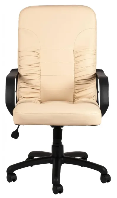 Офисное Кресло Руководителя Richman Texas Fly 2207 Пластик М2 AnyFix Бежевый Киев - изображение 2
