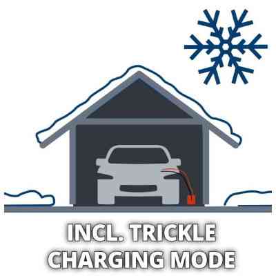 Пуско зарядное устройство Einhell CE-BC 30 M, 12/24 В, 3-600 А/г, макс. 30А (1002275) Винница