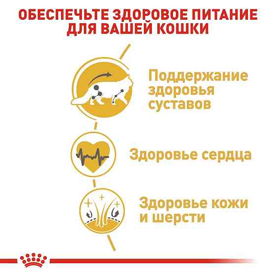 Royal Canin Maine Coon Adult (Рояв Канін Мейн Кун Едалт) сухий корм для котів мейн-кун від 15 місяців 2 кг. Запоріжжя