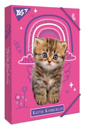 Папка для зошитів на гумці В5 