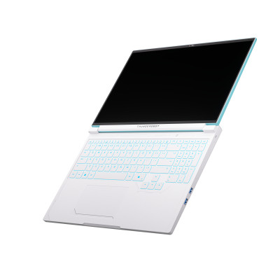 Ноутбук Thunderobot RS16 (RS16-I9139HX56E1Q240ARC) Вінниця - фото 2