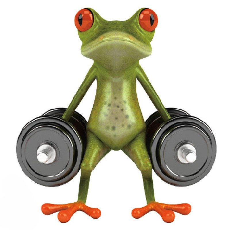 Наклейка Лягушка спортсменка 17 на 17 см разноцветный Киев - изображение 1