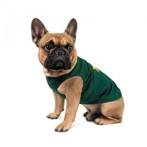 Борцовка Pet Fashion «Sun Please» для собак, размер M2, зеленая Винница