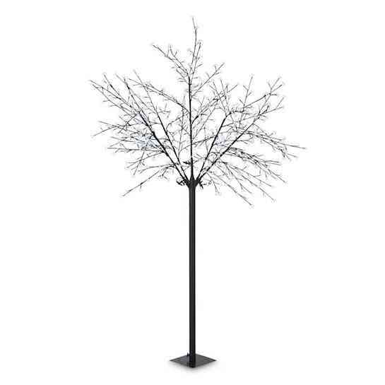 Светлое дерево Hanami CW 250 см 600 холодных белых светодиодов  Blumfeldt Германия Ровно