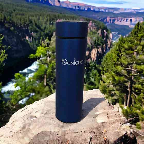 Умный термос с экраном, Термос с цифровым дисплеем температуры для чая помповый EL-26 Львов