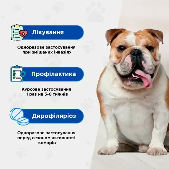 Квадромідас протипаразитарні таблетки від бліх, кліщів, гельмінтів для собак 32-64 кг, 3,2 г, MODES Вінниця