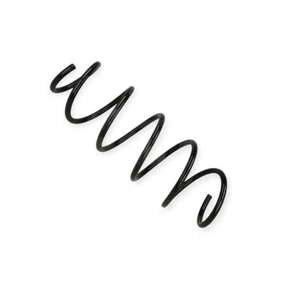 Пружина Mercedes-Benz A-class (W169), B-class (W245) 04- передняя Мукачево