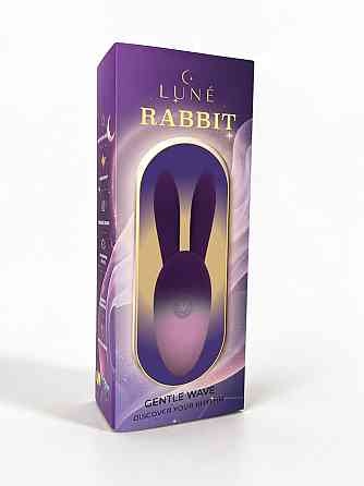 Компактный вибратор LUNE Rabbit с ушками кролика, 10 режимов, 10 × 2,5 см Sex Aura Киев