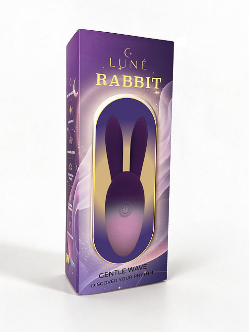 Компактный вибратор LUNE Rabbit с ушками кролика, 10 режимов, 10 × 2,5 см Sex Aura Киев - изображение 2