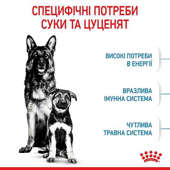 Корм для новорожденных щенков больших пород собак ROYAL CANIN MAXI STARTER 4 кг Киев