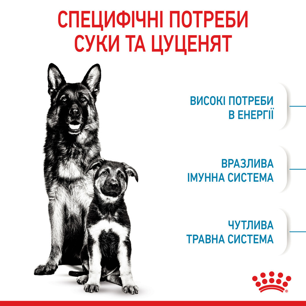 Корм для новорожденных щенков больших пород собак ROYAL CANIN MAXI STARTER 4 кг Киев - изображение 4